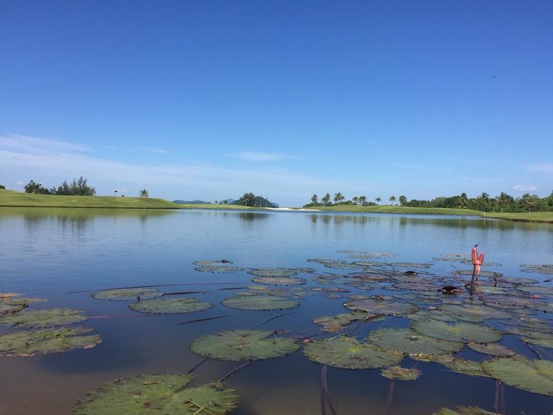 Mission Hills Phuket Golf Resort & Spa 236994