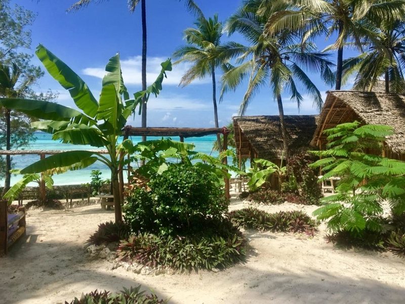 Mnana Beach Bungalows 214600