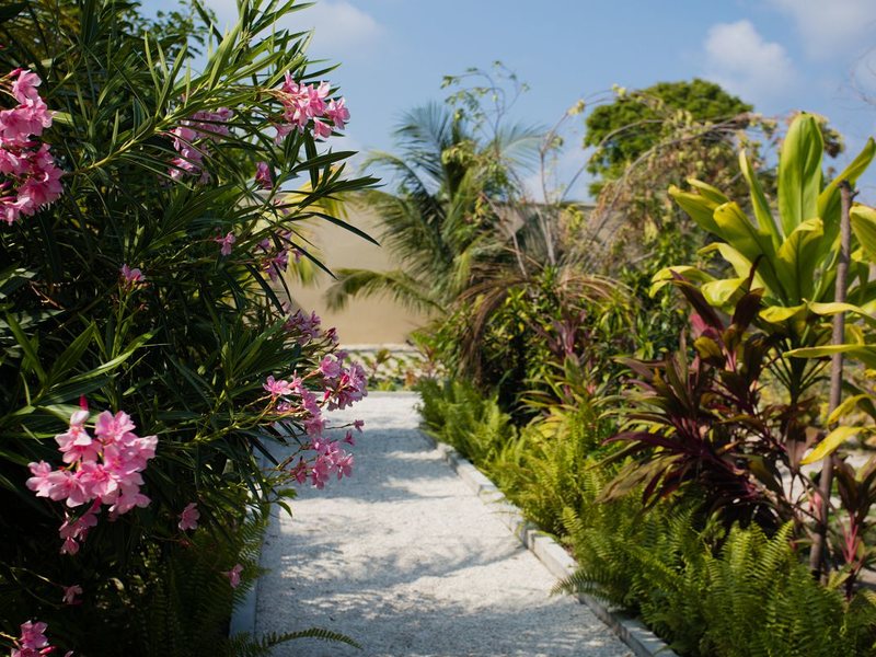 Mo Guest House 325196