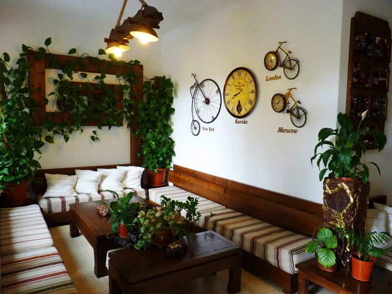 Molerite Hotel 311971