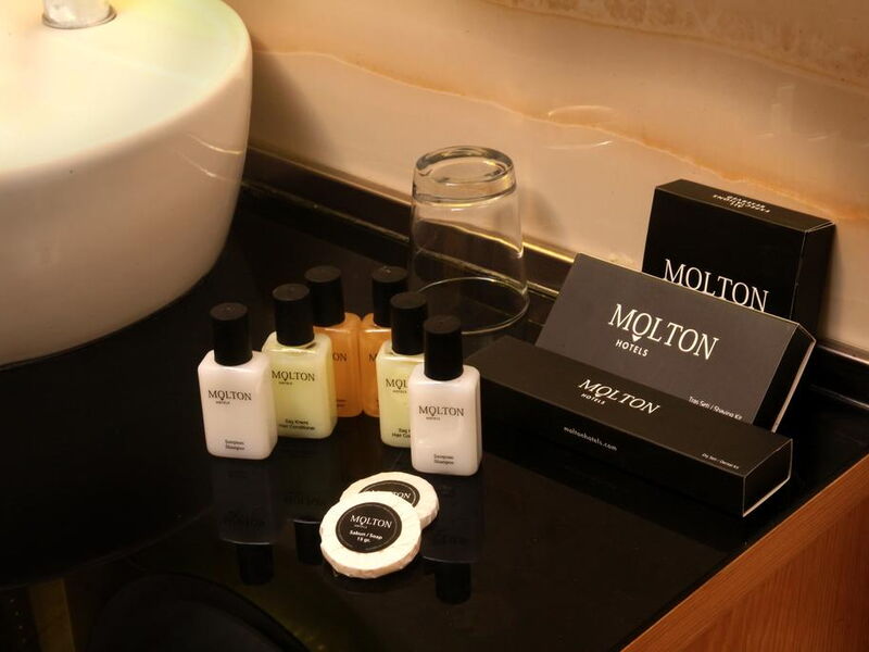 Molton Beyoglu MLS Hotel  275074