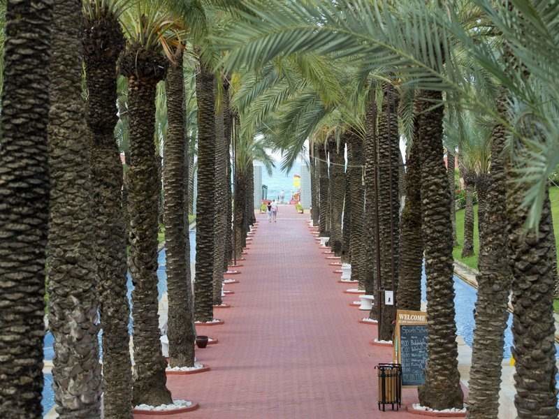 Monachus Family Resort Sorgun (ex 90621
