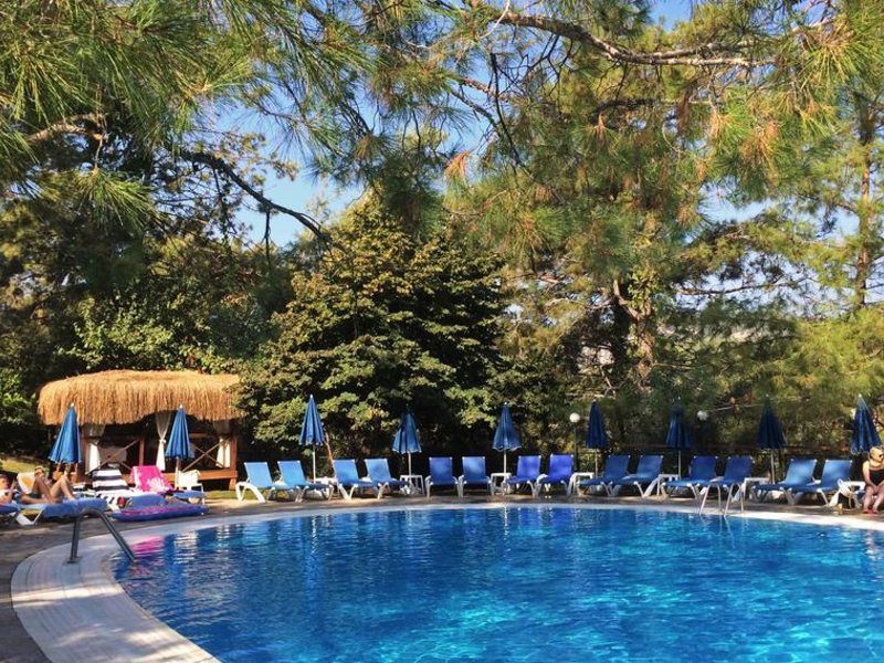 Montana Pine Resort 187173