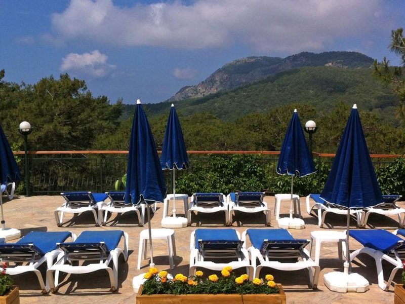 Montana Pine Resort 187174