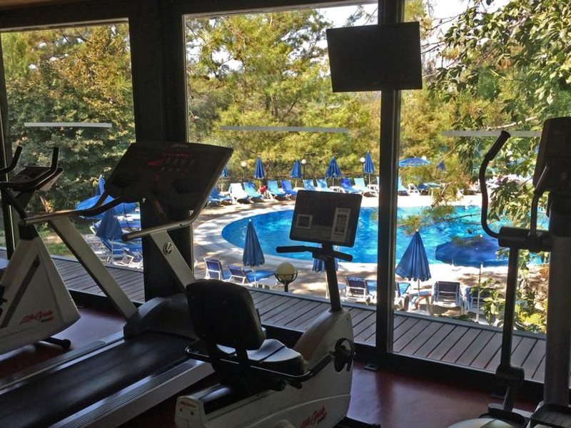 Montana Pine Resort 187195