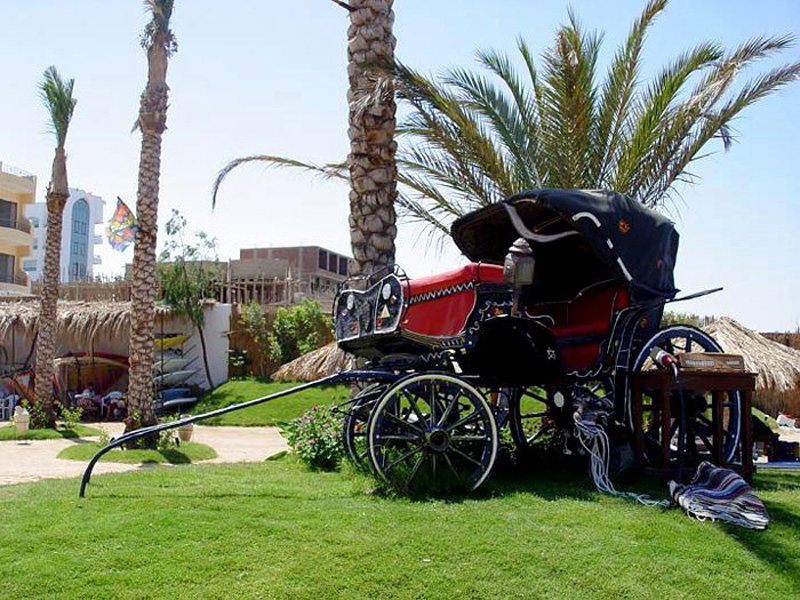 Moon Valley Hotel 35948