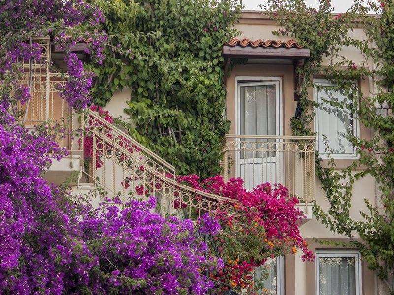 Moonshine Hotel Bodrum 303637