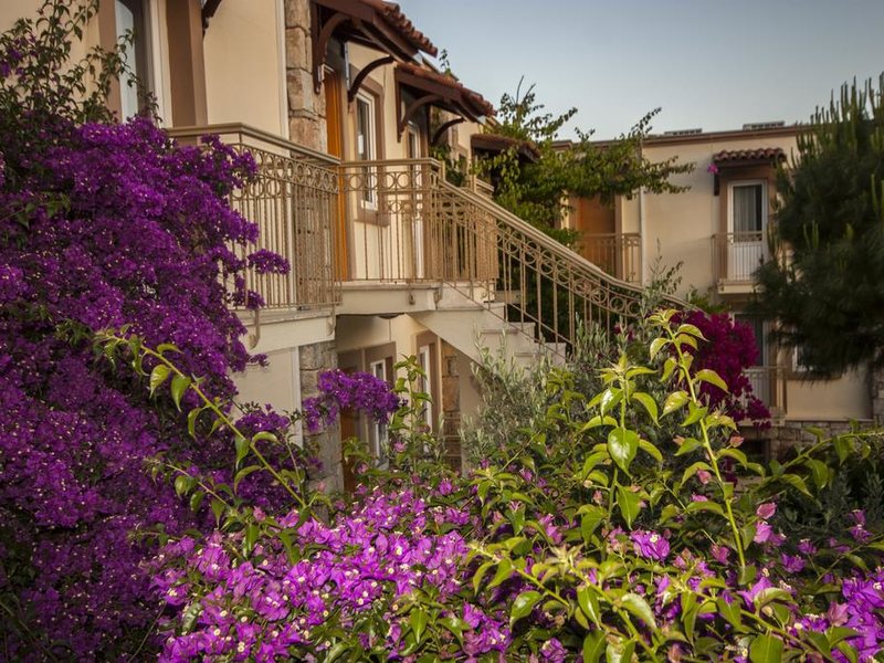 Moonshine Hotel Bodrum 303638