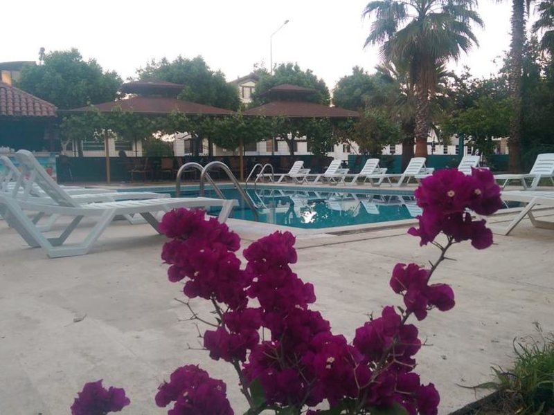 More Beach Hotel 302062