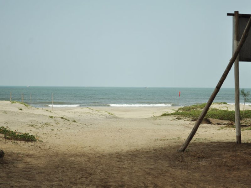 Morjim Hermitage 114513