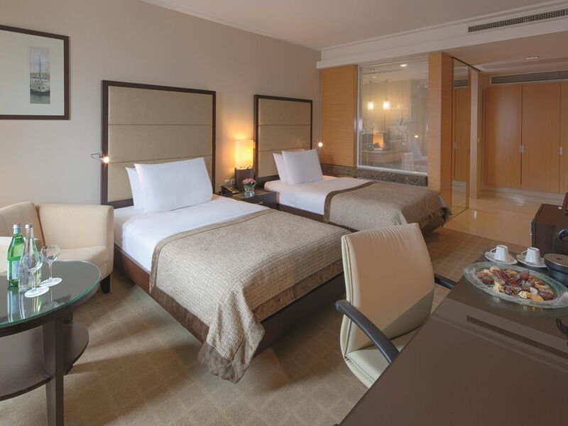 Movenpick Hotel Istanbul  243098