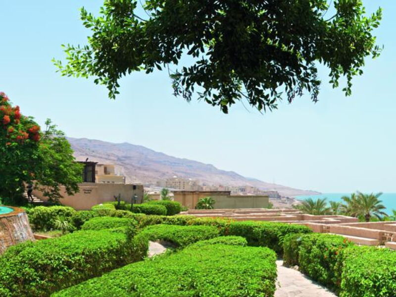 Movenpick Resort & Spa Dead Sea 120732