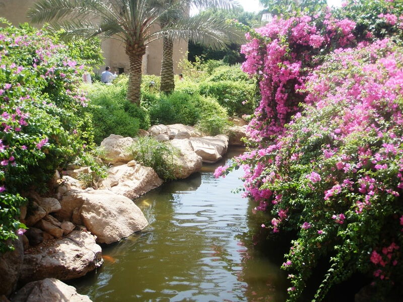 Movenpick Resort & Spa Dead Sea 120754