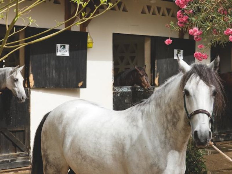 Movenpick Sharm Naama Bay (ex 126472