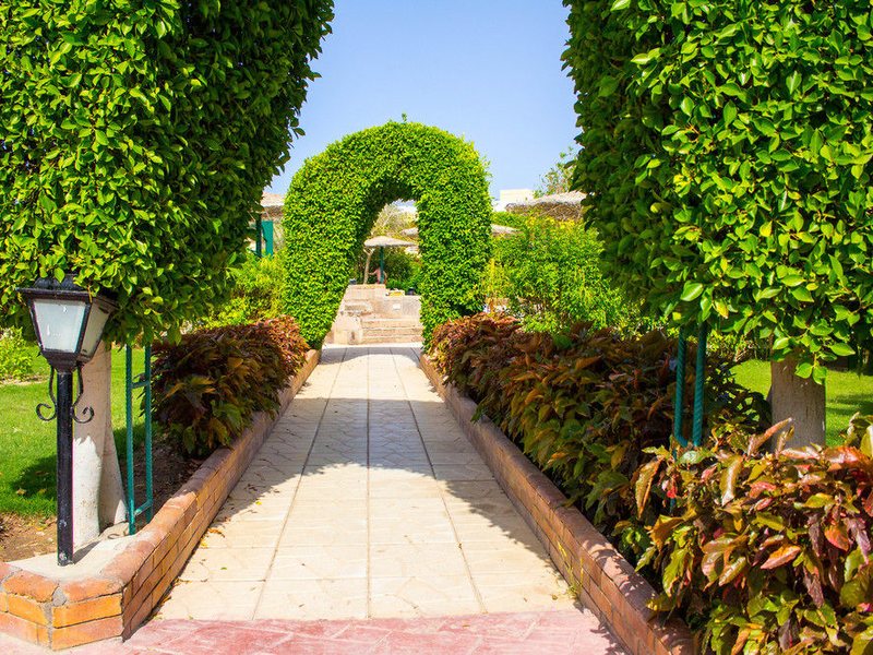 Movie Gate Hurghada (ex 126509