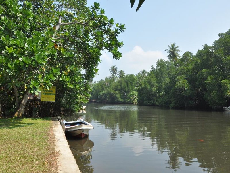 Muthumuni River Resort 270815