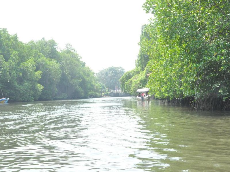 Muthumuni River Resort 273063