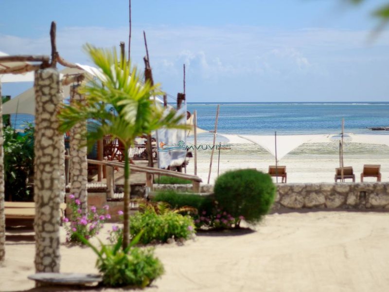 Mvuvi Resort  201053