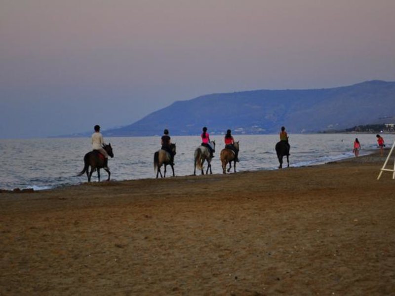 Mythos Palace Resort & Spa 90205