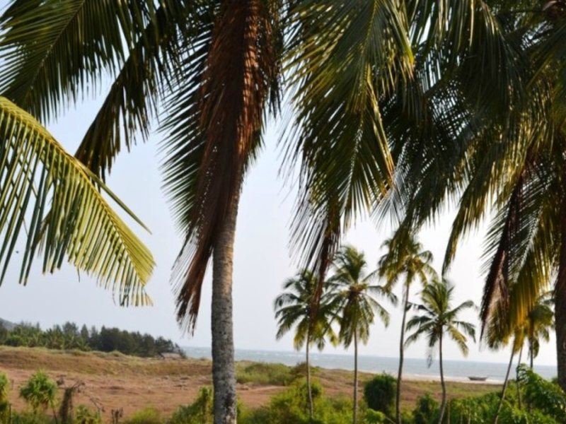 Naga Cottages 114550