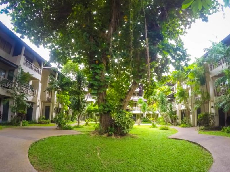 Natural Park Resort 155424