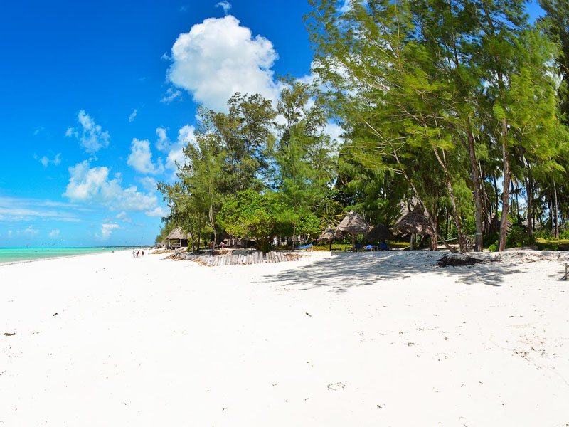 Ndame Beach Lodge Zanzibar 201545