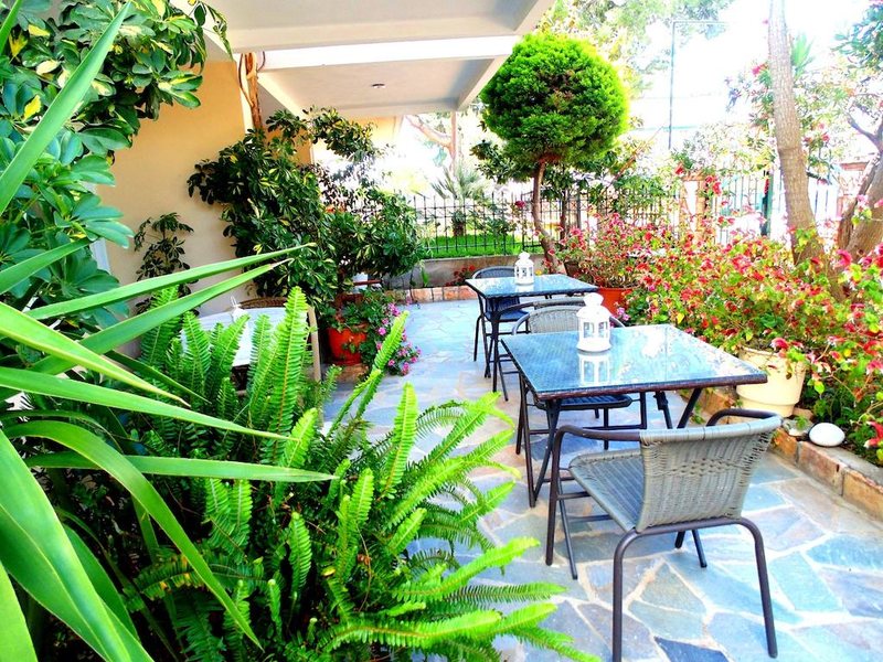 Nefeli Studios 260738