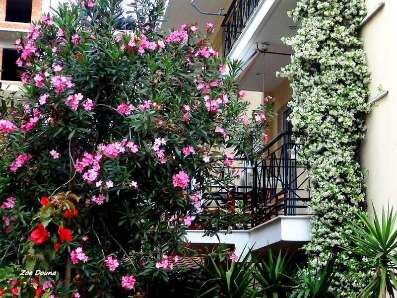 Nefeli Studios 260751