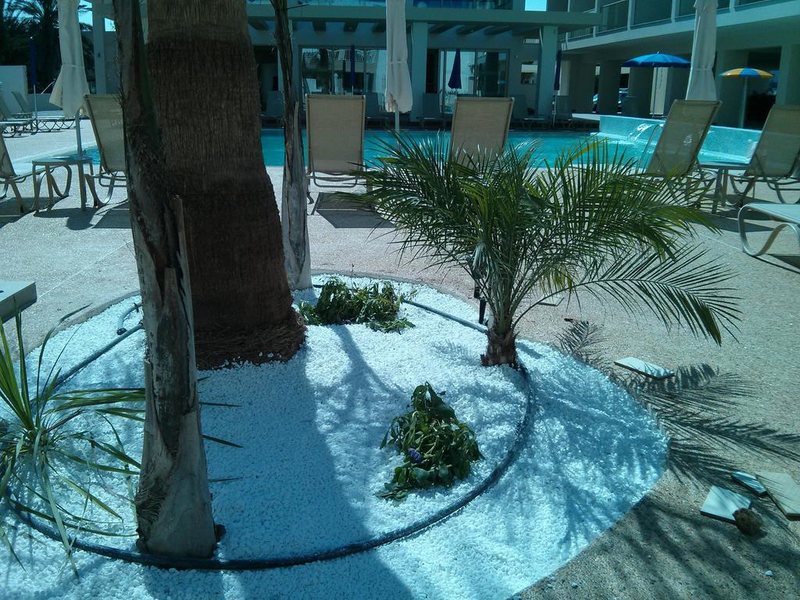 Nelia Gardens 206374