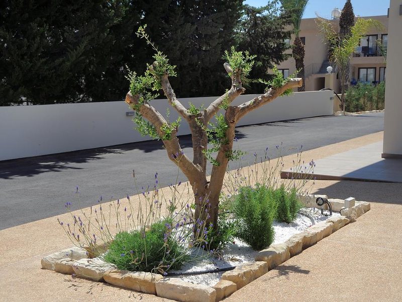 Nelia Gardens 206392