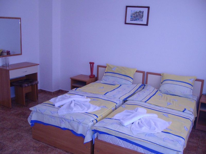 Nelly-Pandora 213283