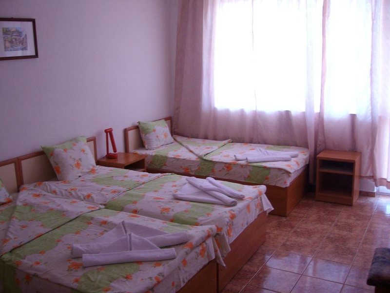 Nelly-Pandora 213284