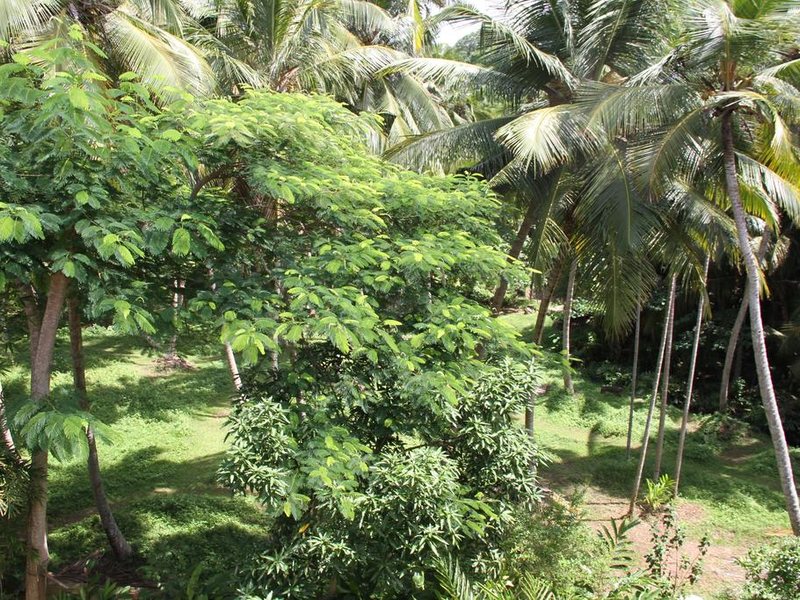 Neptune Bay Hotel 108092