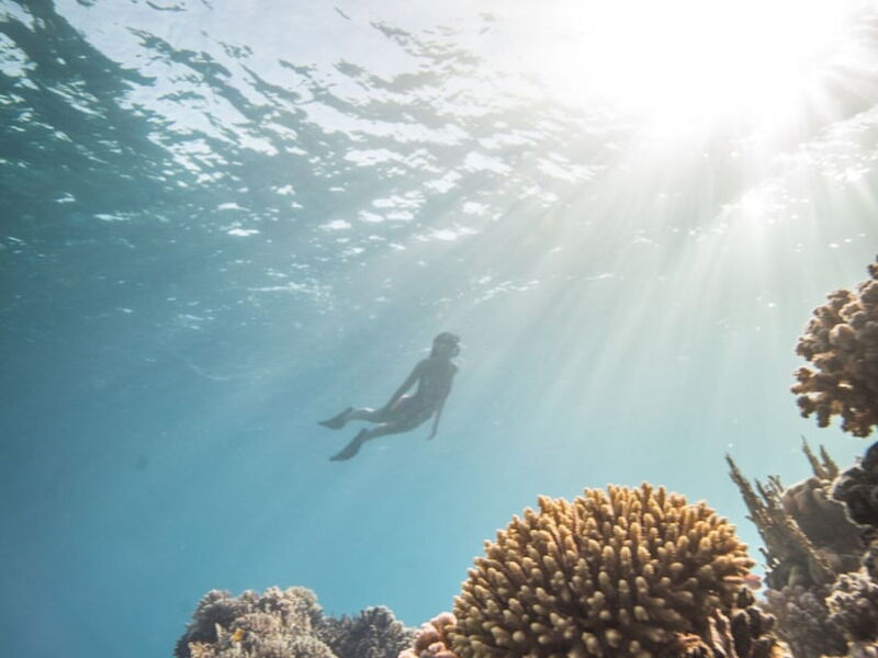 Neverland Paradise 327030