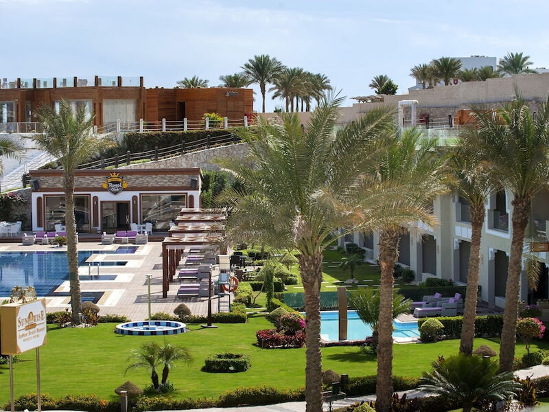 Neverland Paradise 327035