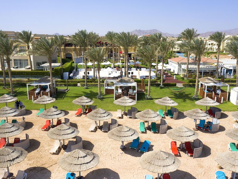 Neverland Paradise 327041