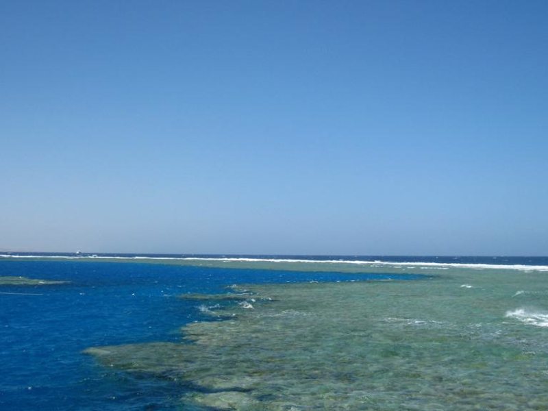 New DaVinci Beach & Diving Resort (ех 293464