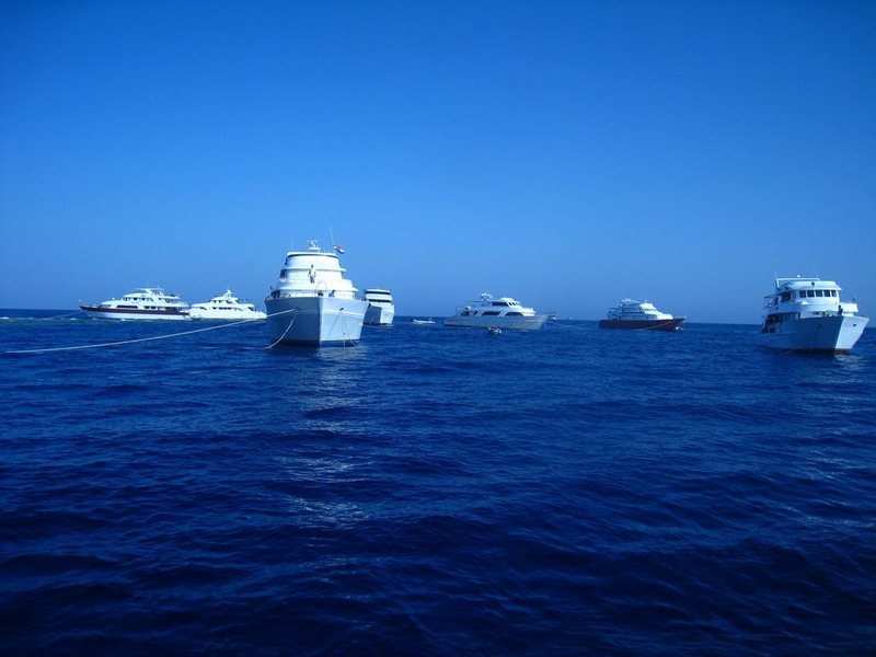 New DaVinci Beach & Diving Resort (ех 293465