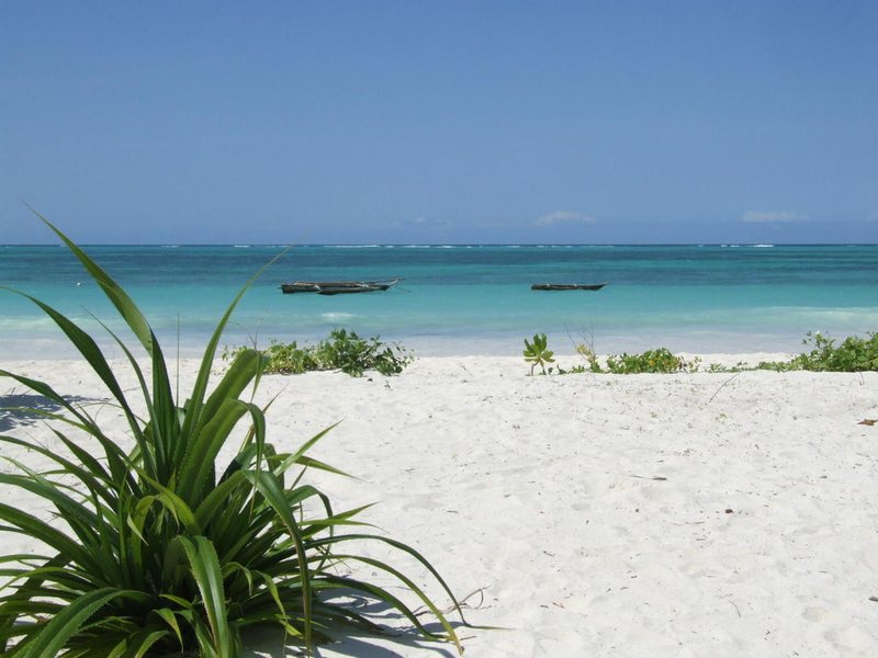 Next Paradise Boutique Resort 229173