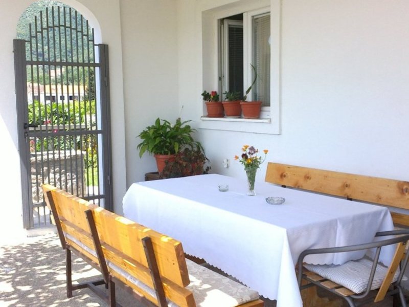 Nikolos Jovanovic 89628