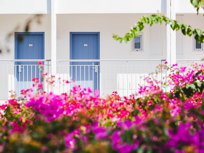 Nissi Park Hotel 206516