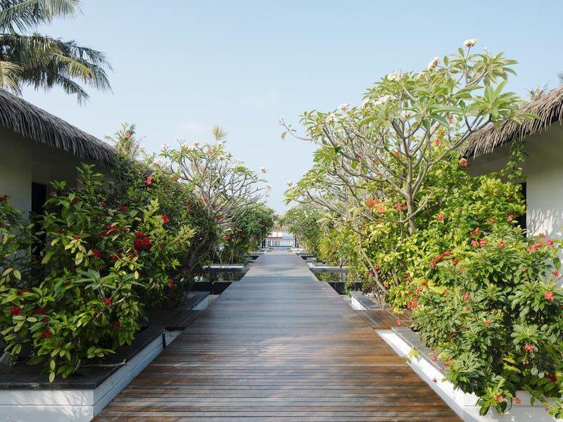 Noku Maldives (ех 323894