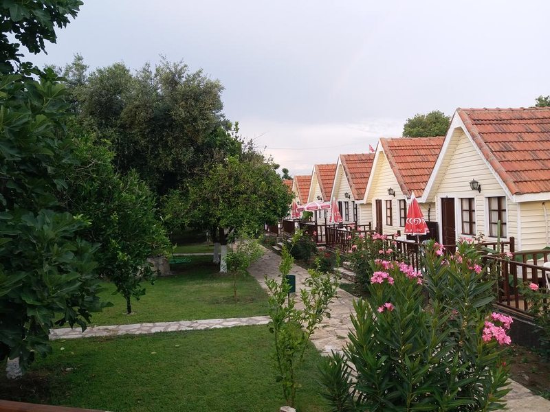 Nova Beach Hotel 275132