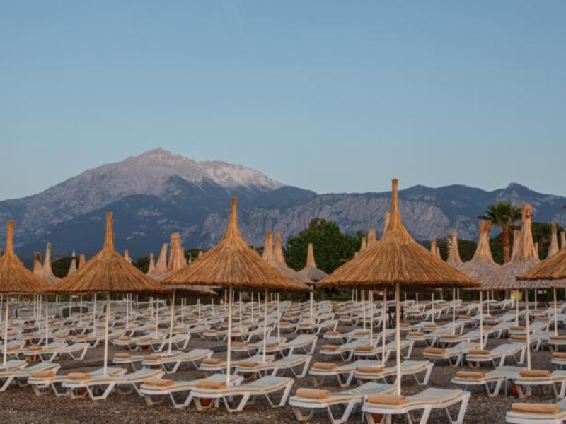 Novia Lucida Beach (ex 58585