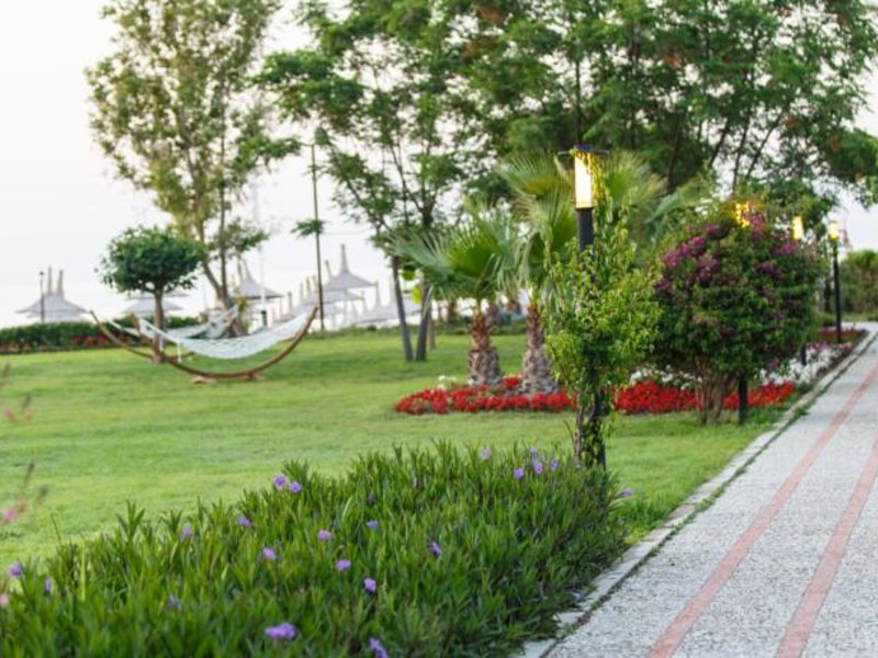 Novia Lucida Beach (ex 58612