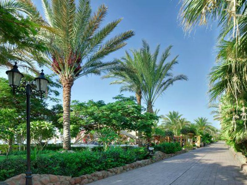 Novotel Beach 126607