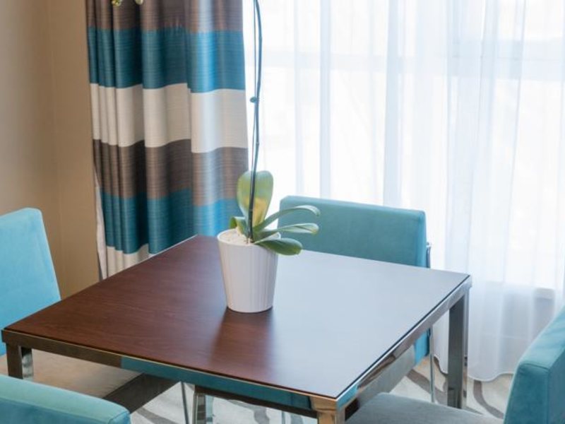 Novotel Dubai Al Barsha 119465