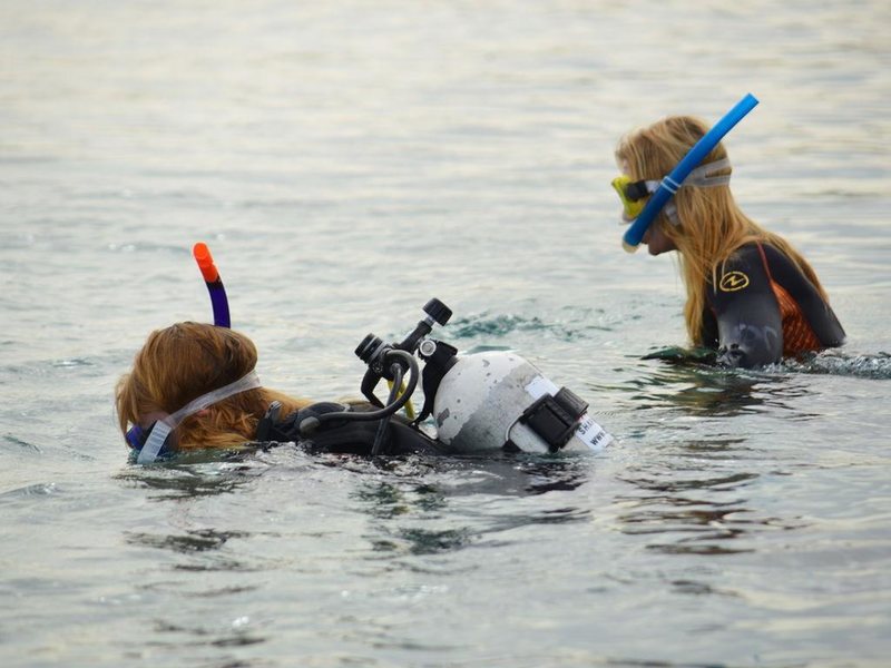 Novotel Marsa Alam 175677