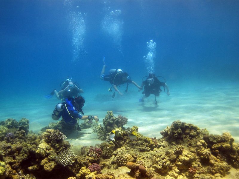 Nubian Village 126696