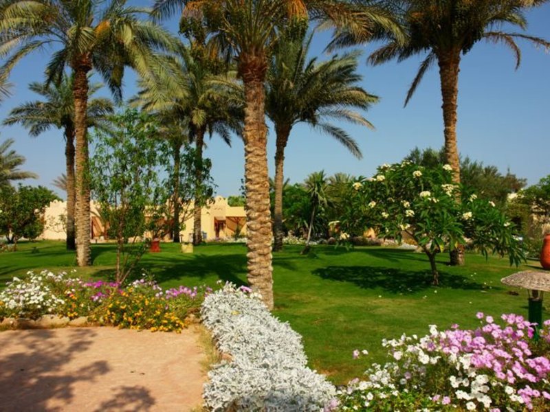 Nubian Village 42946